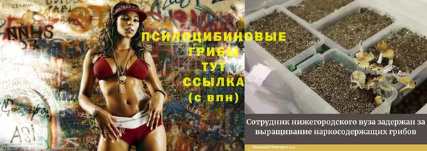 spice Богородицк