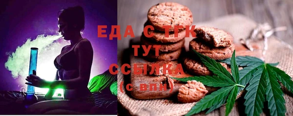 spice Богородицк